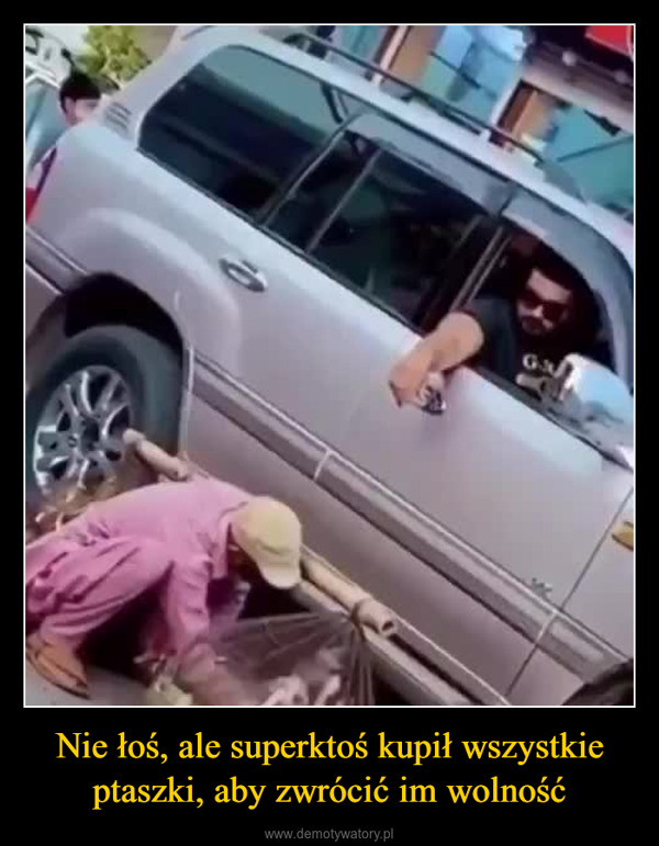 Nie łoś, ale superktoś kupił wszystkie ptaszki, aby zwrócić im wolność –  