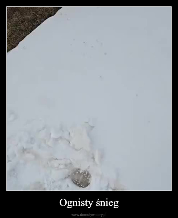 Ognisty śnieg –  