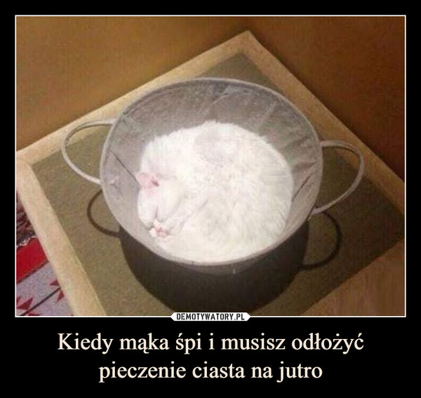 Kiedy mąka śpi i musisz odłożyć pieczenie ciasta na jutro –  
