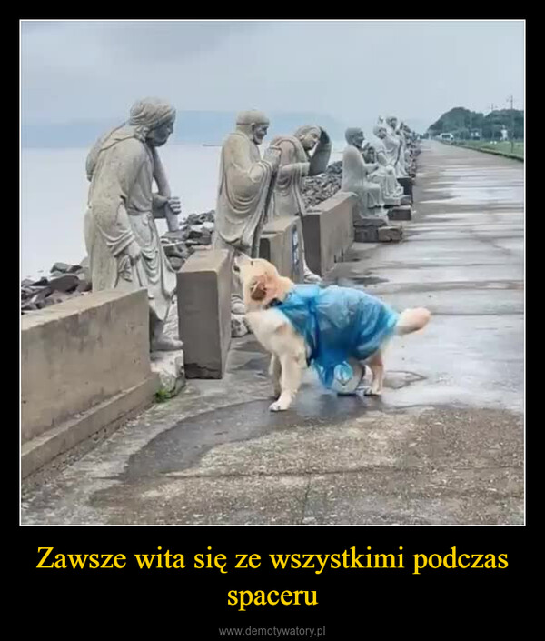 Zawsze wita się ze wszystkimi podczas spaceru –  