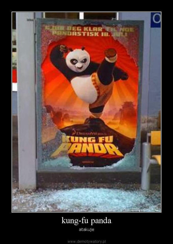 kung-fu panda – atakuje  