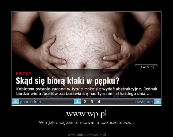 www.wp.pl – Wie jakie są zainteresowania społeczeństwa...  